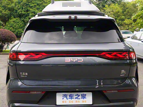 2025�� DM 175KM���˻���Ұ�