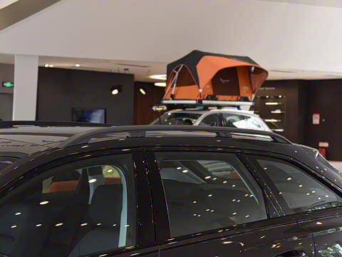 2023�� allroad quattro 55 TFSI ��̽�ռҰ�