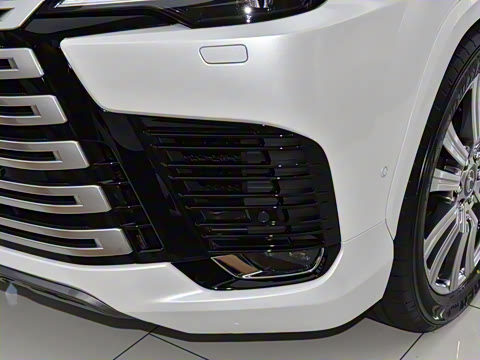 2025�� 700h VIP������