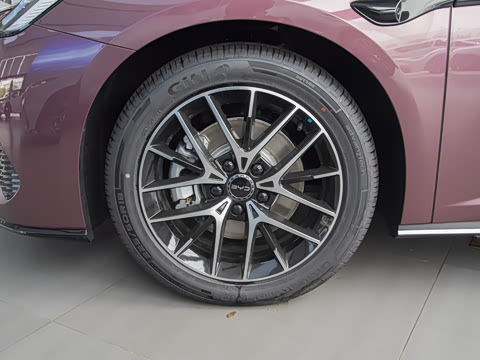 2025�� �Ǽݰ� DM-i 1.5L 125km ������