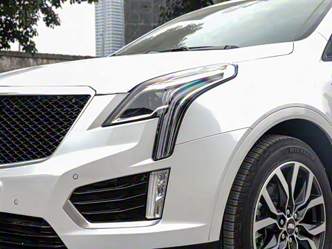 2021�� 28T ���������˶���