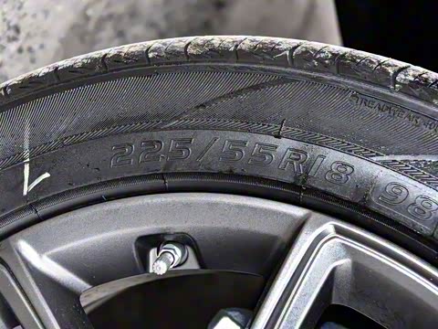 2025�� 165km ������������ 5��