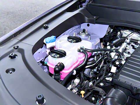 2025�� 150km ����Ů��