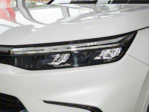 2025�� e:HEV ������ҫ��