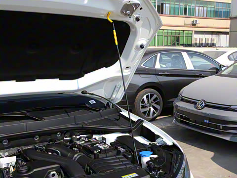 2025�� 300TSI DSG�����ǹ��