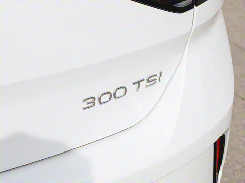 2025�� �Ŀ� 300TSI DSG���������