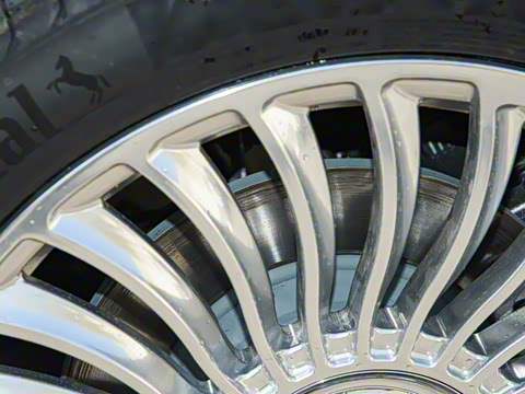 2025�� V 300 L ������˹ �˶���