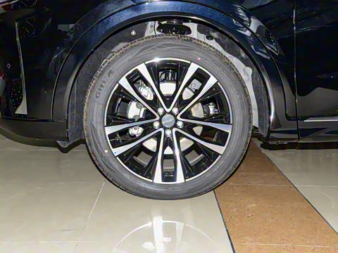 2023�� 1.6T DCTǿ��PRO+ 5��