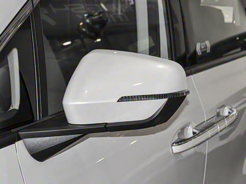 2024�� ��ҫϵ�� 2.0L ���ڰ�