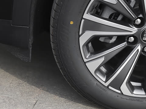 2025�� 25T �׽��