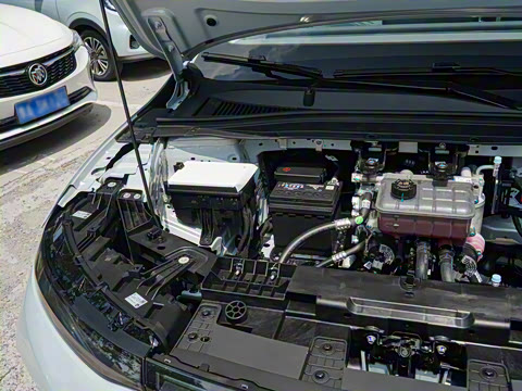 2025�� 550�����״��