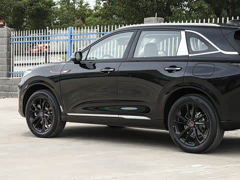 2025�� 117km ��ΪPLUS��