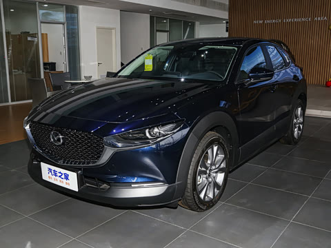 2024�� 2.0L �Զ�������