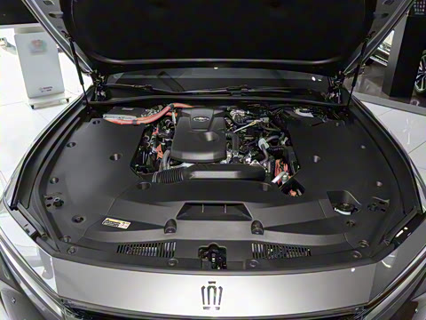 2024�� 2.5L ������