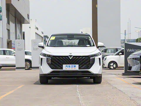 2026�� 260T ������ Pro