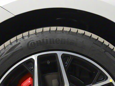 2025�� ���� 565����Max�캽��