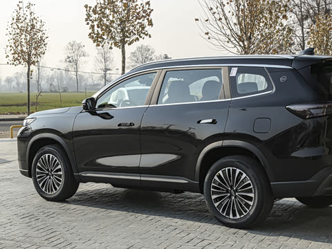 2025�� 1.5T 116km ������ 7��