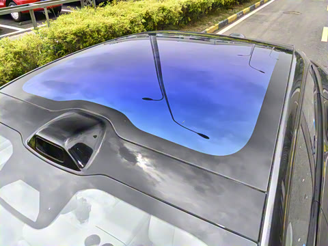 2025�� Max�����