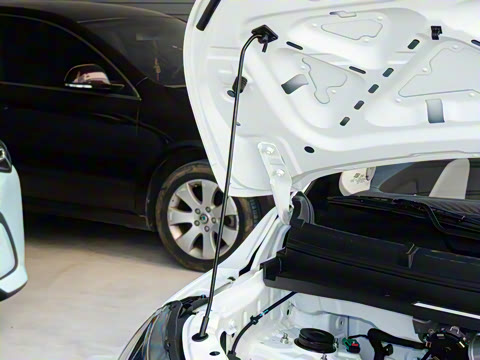 2026�� Mate 305km ����̤�˰�