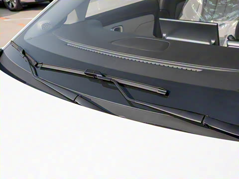 2025�� 330��ҫ��