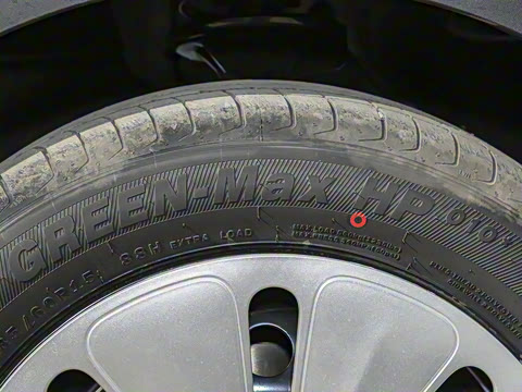 2025�� 203km ������