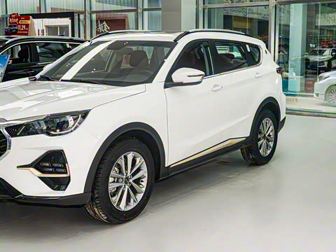 2025�� 1.5T DCT��ԽPRO 7��