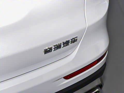 2023�� 290TGDI DCT������