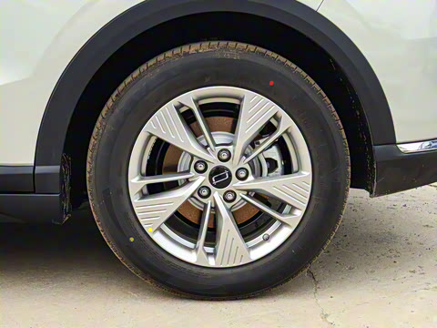 2025�� 565km ������