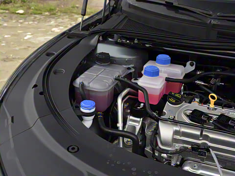 2025�� �������̰� 140��Ӣ��