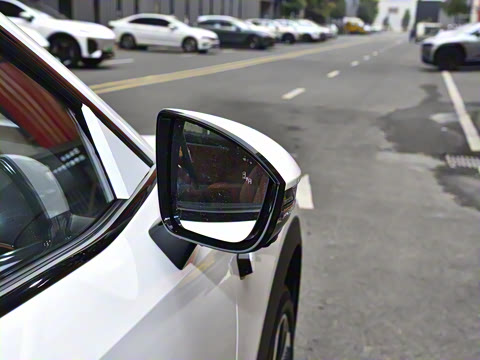 2025�� 520Max ��ΪǬ���Ǽ�ADS SE�����