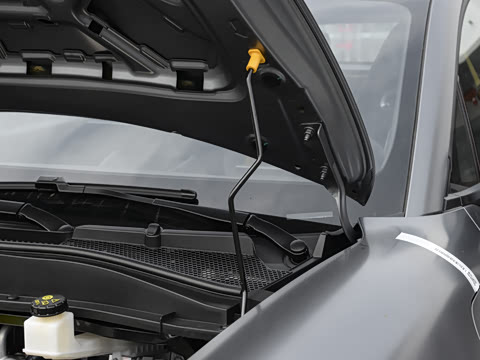 2025�� ľ���� 430km ������