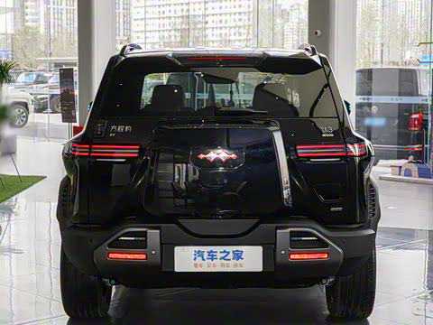 2025�� 501KM ����Max��