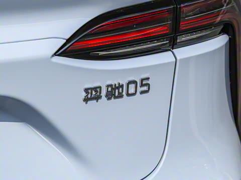 2025�� ���05 ������