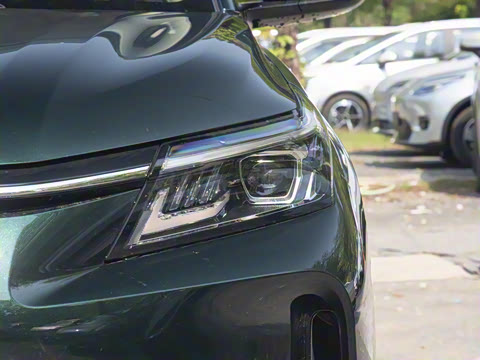 2025�� 165km ������������ 7��