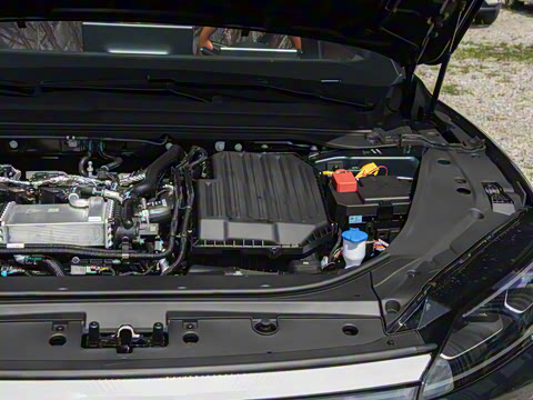 2025�� 260������������