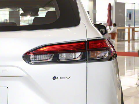 2024�� 2.0L ���ܵ��˫�� ������