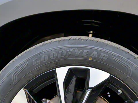 2023�� 2.5L HEV �������а�