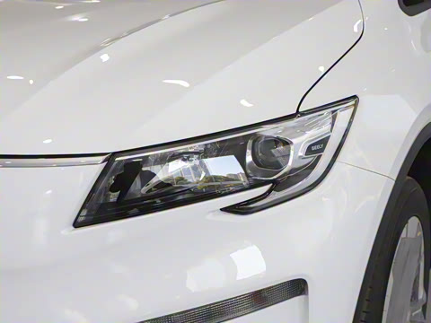 2025�� �������캽��