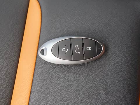 2020�� PRO 280 TID �Զ������