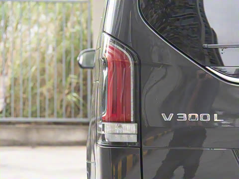 2024�� V 300 L ���������