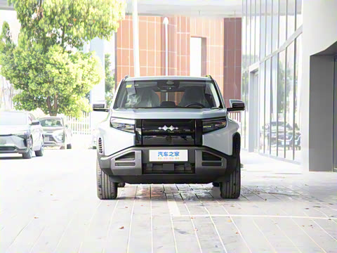 2025�� 501KM ����Max��