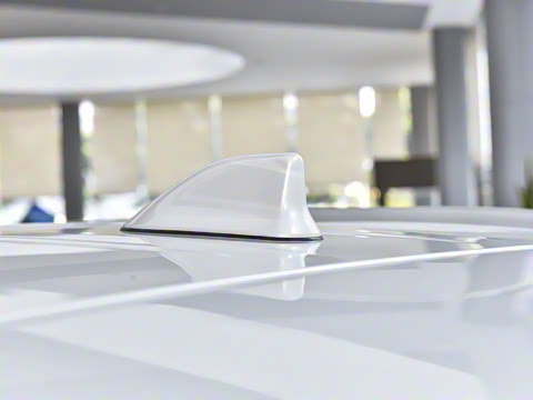 2025�� 700h VIP������