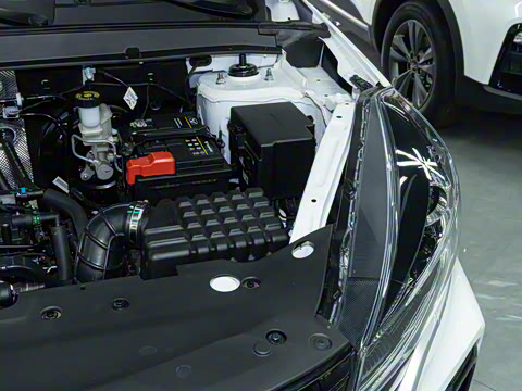 2025�� 1.5L �ֶ����ʰ�