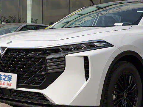 2023�� 260T ������ Pro