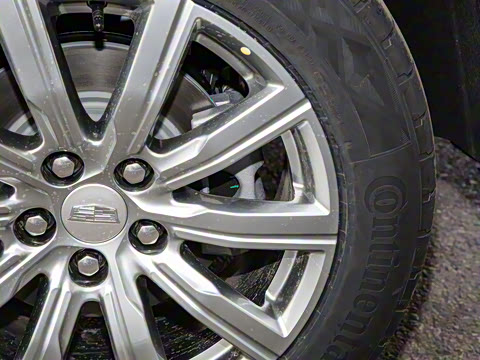 2023�� 28T ���������