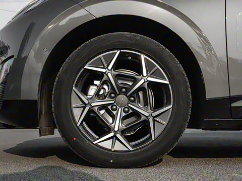 2025�� 530km ����Max