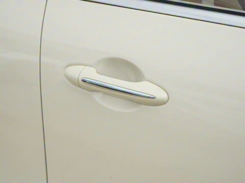 2025�� 333km ������