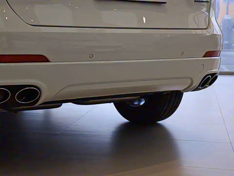 2021�� 3.0T ������