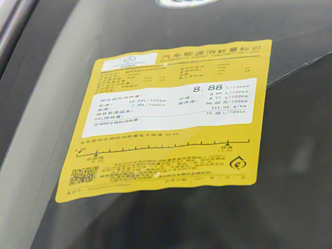 2024�� V 300 L ���������