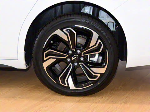 2022�� ���������